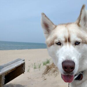 Meet your Posher, Neva